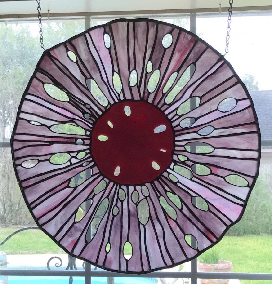 Sanddollar by Pat Conway 