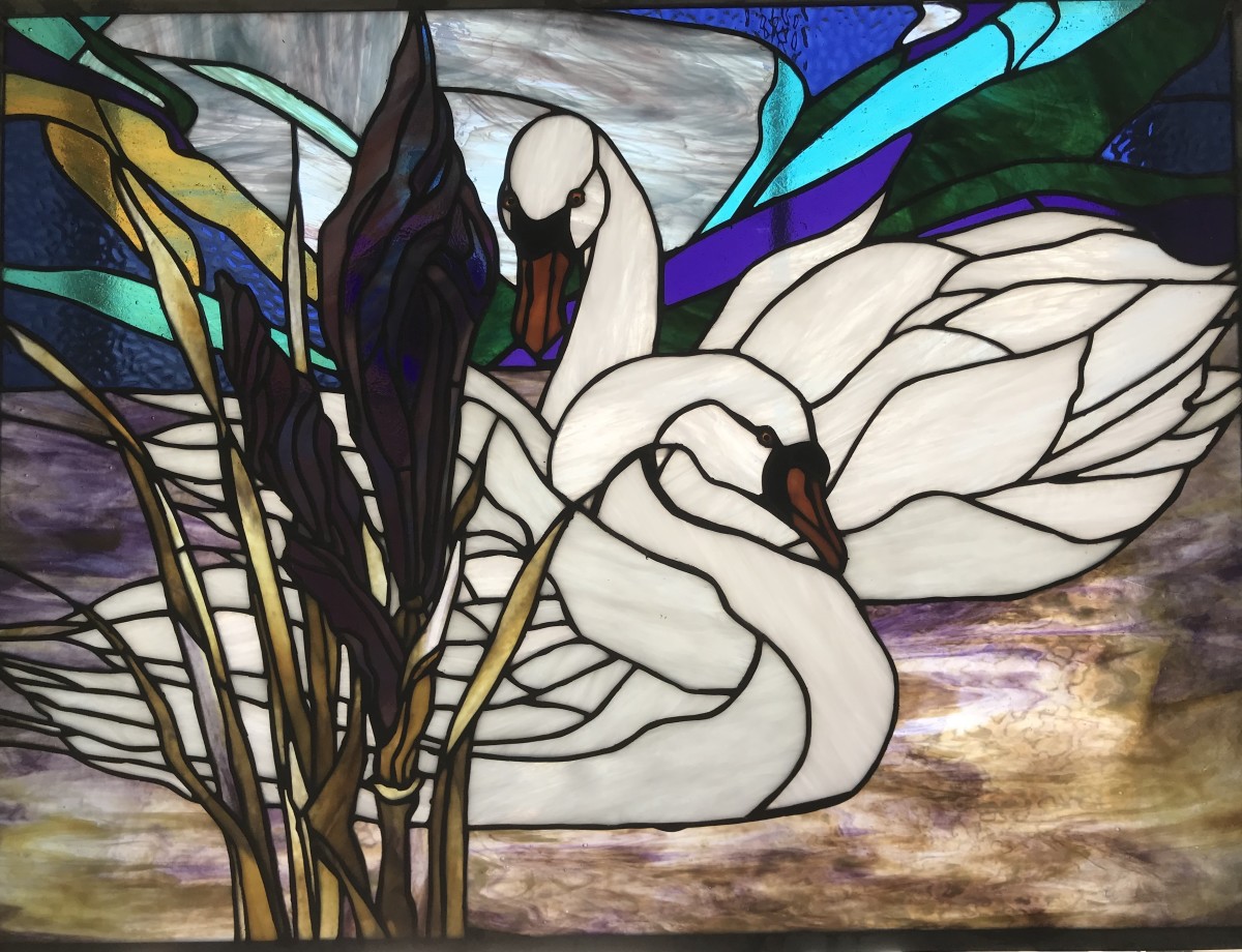 Swans by Pat Conway 