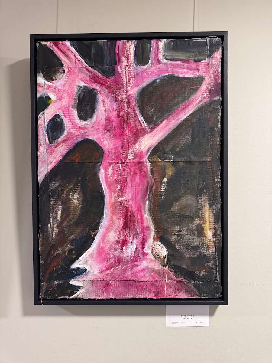 Frosty by Fran White, Image 1.