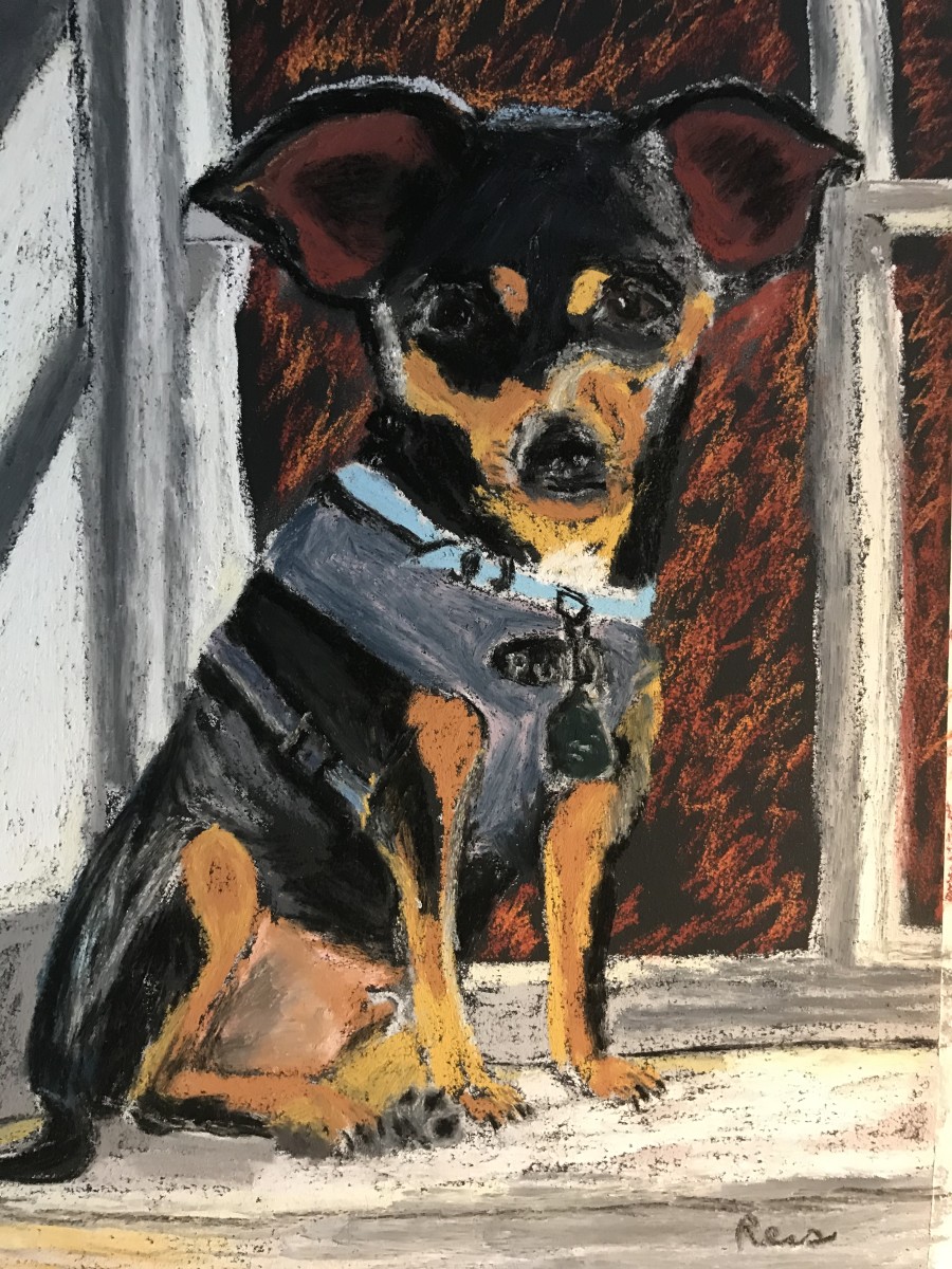 Ziggy by Kathryn Reis 