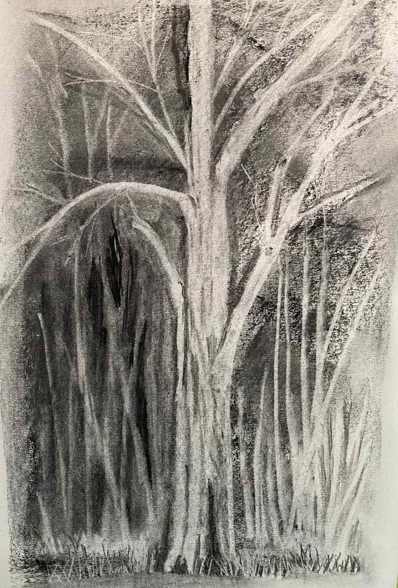 A Tree In the Glade by Kathryn Reis 
