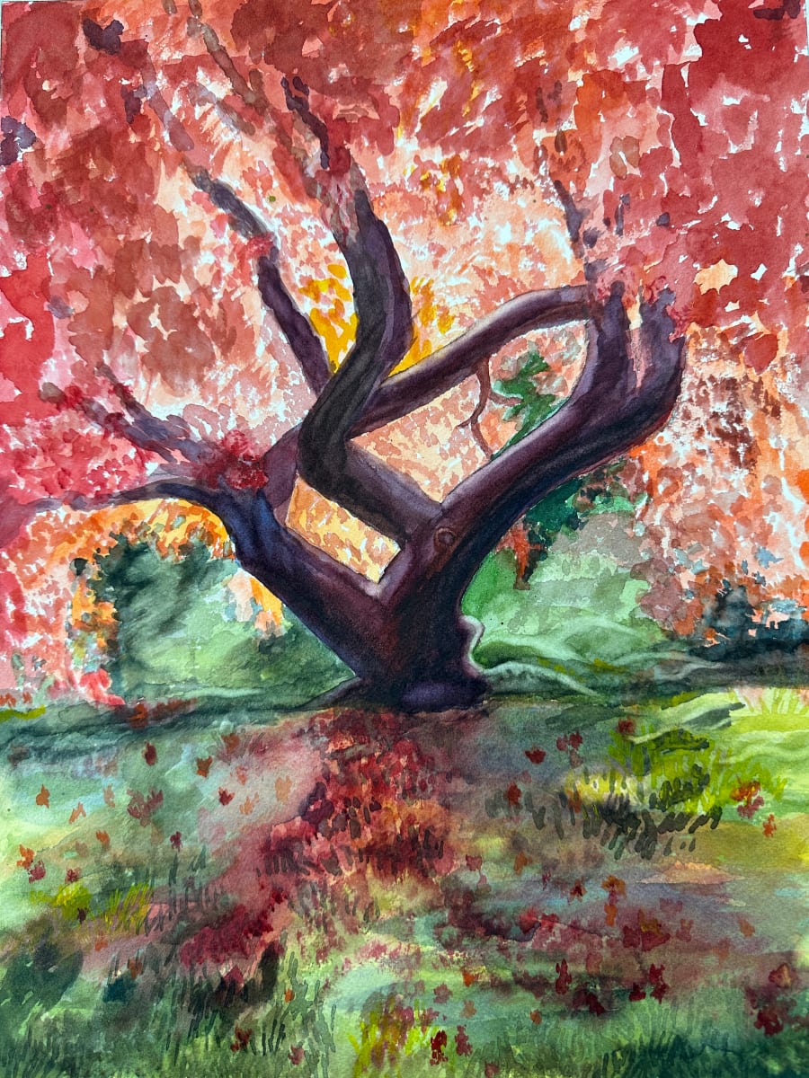 Japanese Maple by Kathryn Reis 