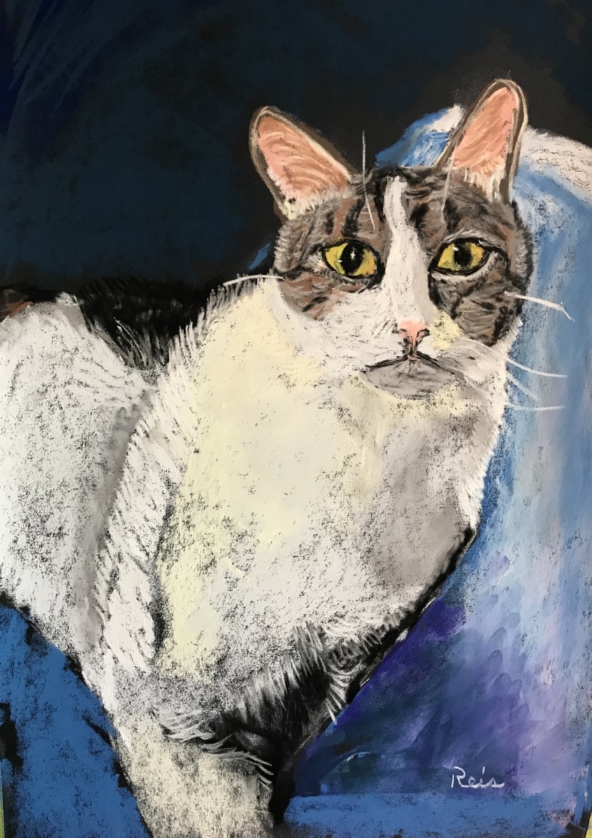 Cicero by Kathryn Reis 