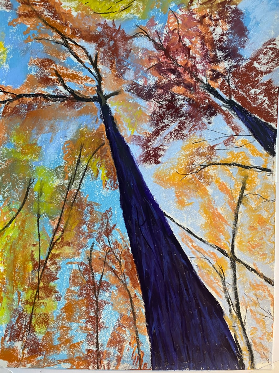 Canopy by Kathryn Reis 