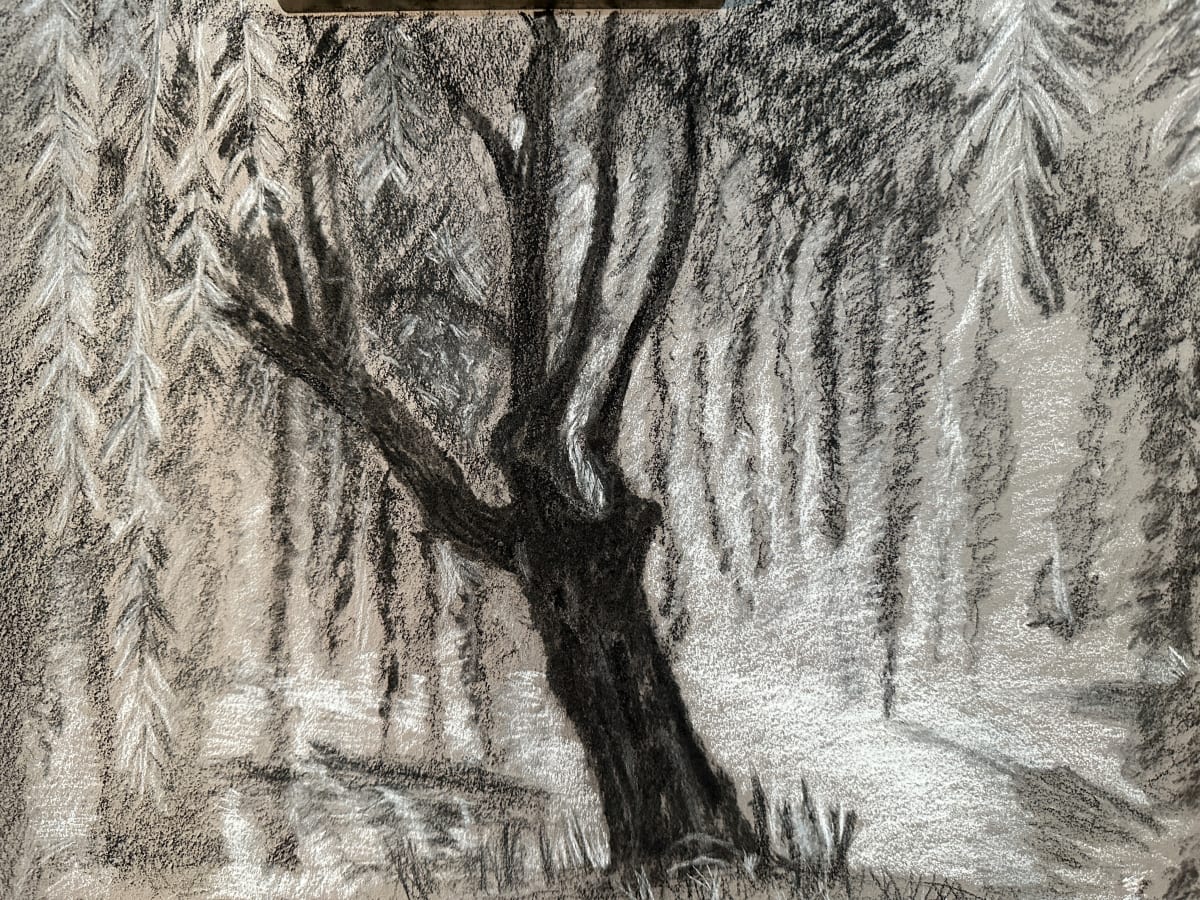 Weeping Willow by Kathryn Reis 