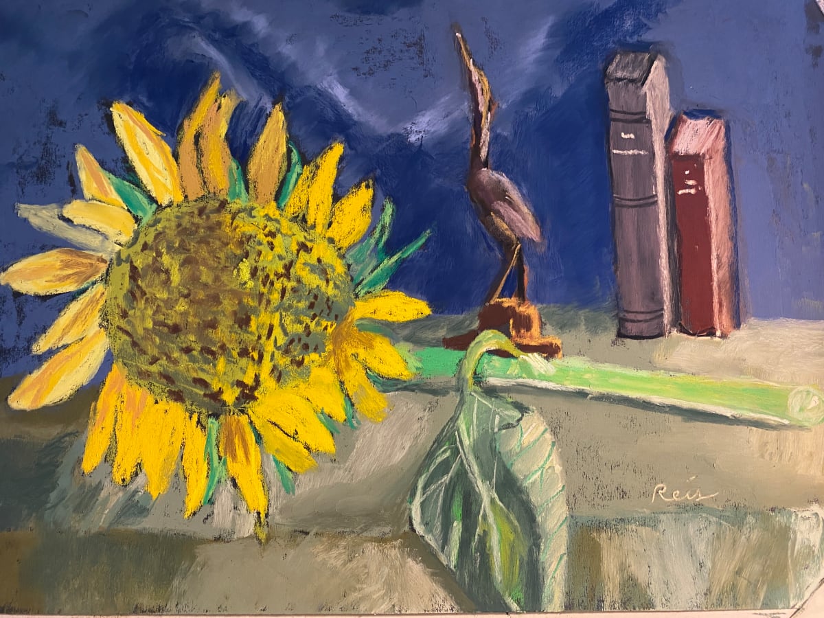 Here Comes the Sun by Kathryn Reis 