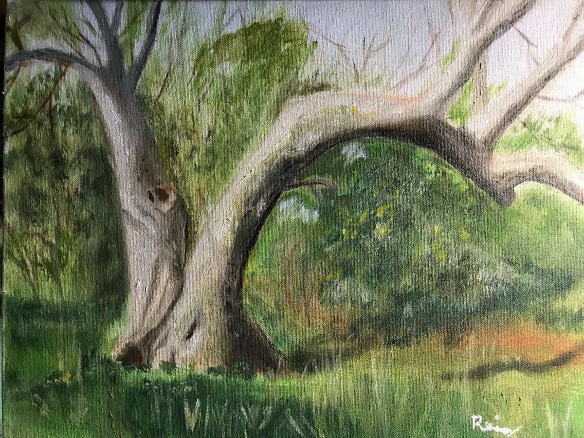 Old Tree by Kathryn Reis 