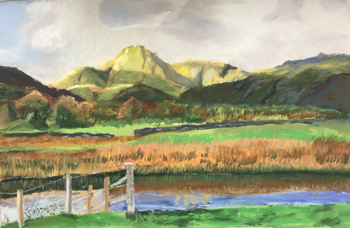 Backyard by Kathryn Reis, Image 1.