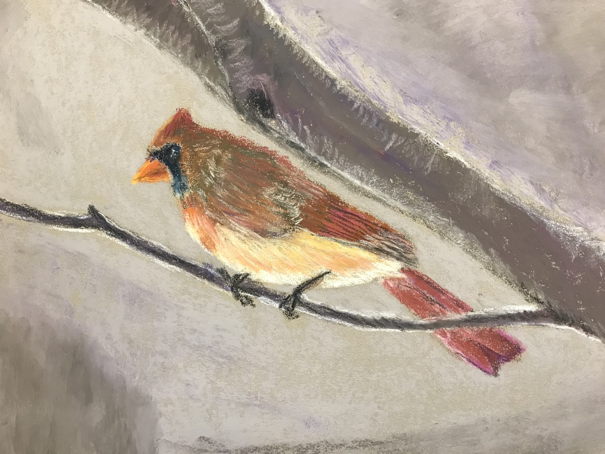 Madam Cardinal by Kathryn Reis 