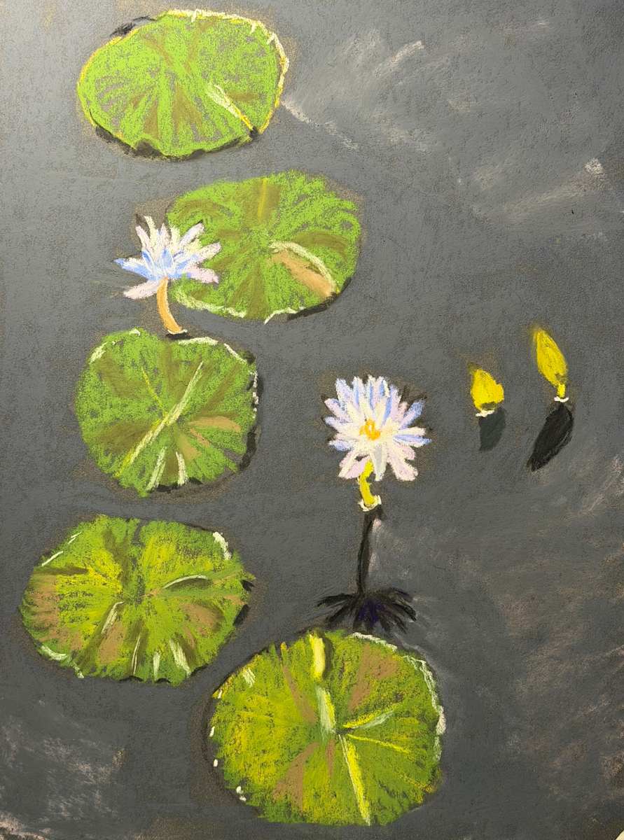 Lily Pond by Kathryn Reis, Image 1.