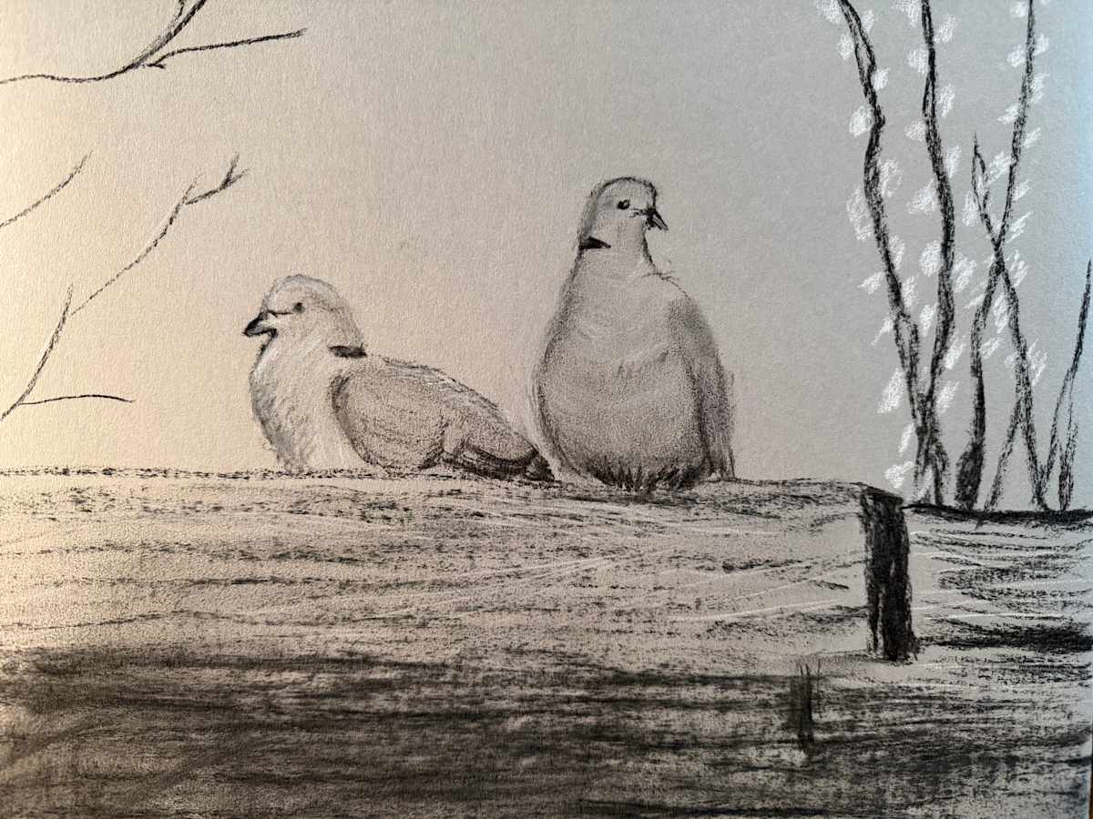 Two Doves by Kathryn Reis, Image 1.