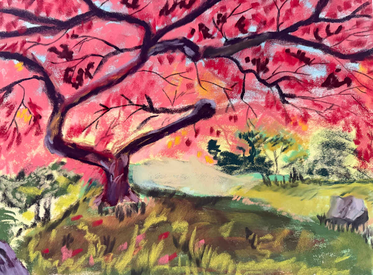 Another Japanese Maple by Kathryn Reis, Image 1.