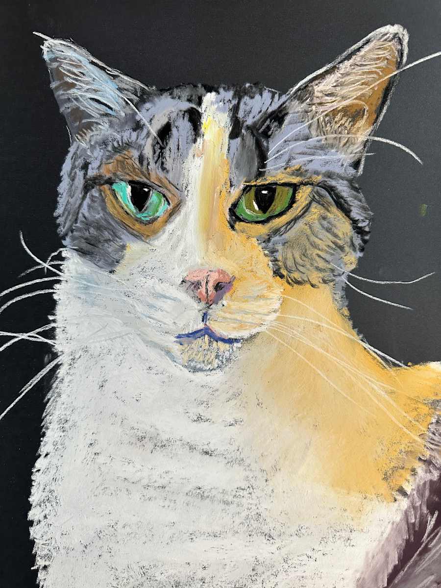Cicero the Great by Kathryn Reis, Image 1.