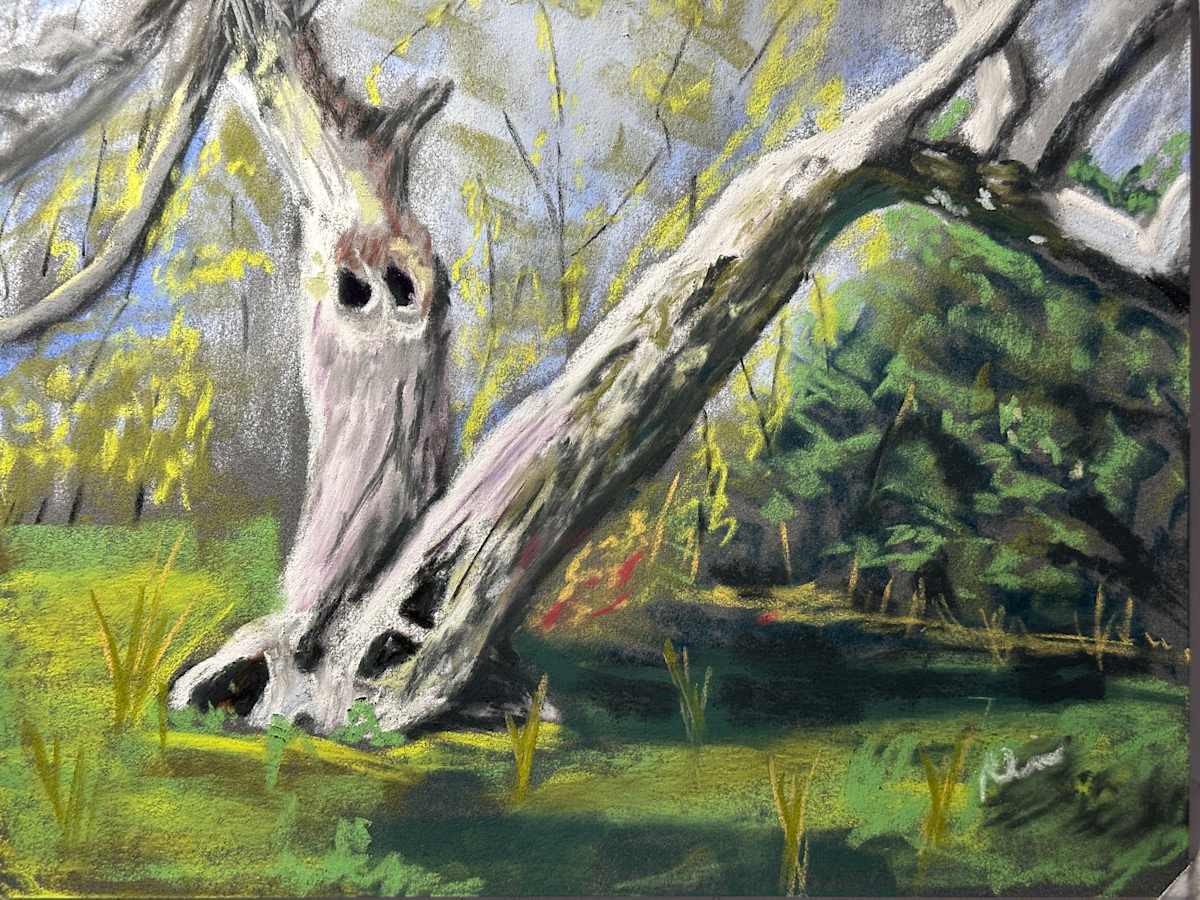 Old Tree in Pastel by Kathryn Reis, Image 1.