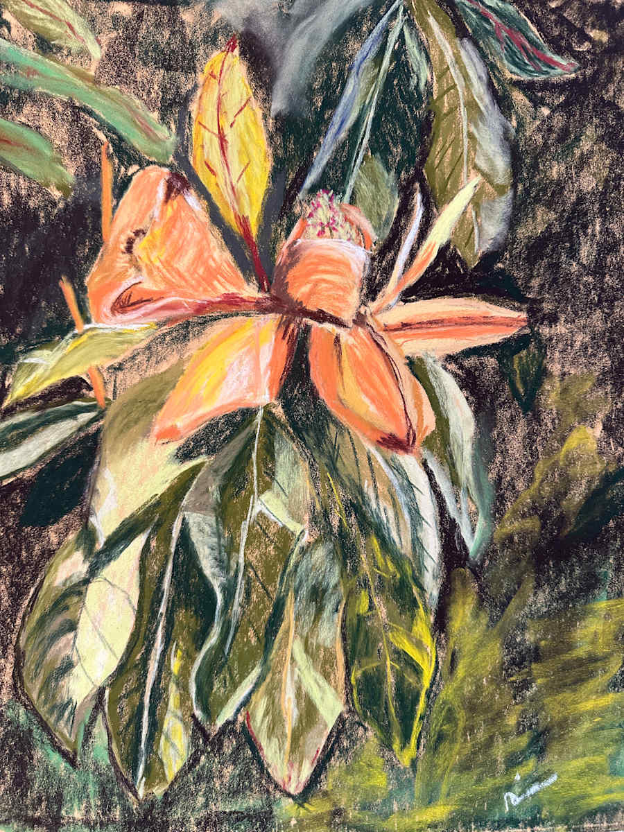 Fading Magnolia by Kathryn Reis, Image 1.