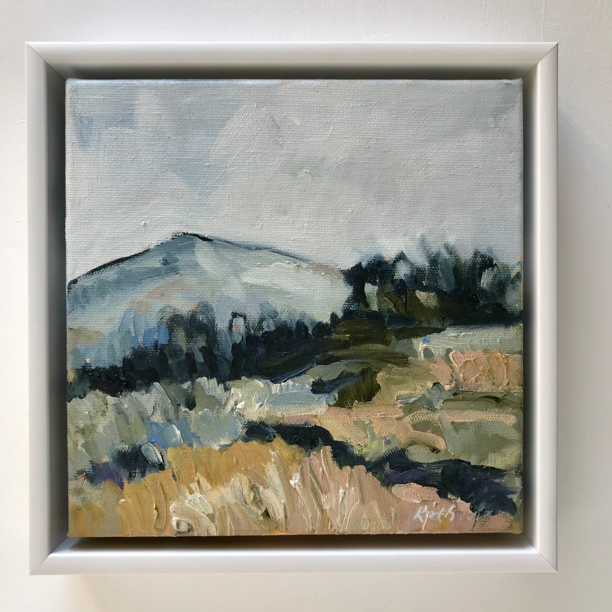 Autumn Fields, Pokolbin 