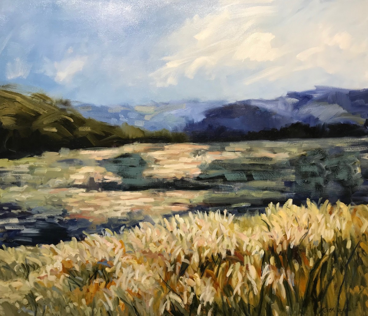 Evening Light, Pokolbin by Rebecca Rath 