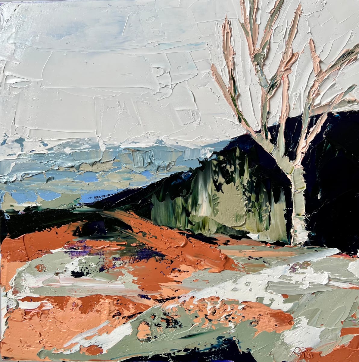 Land of currawong and galah 