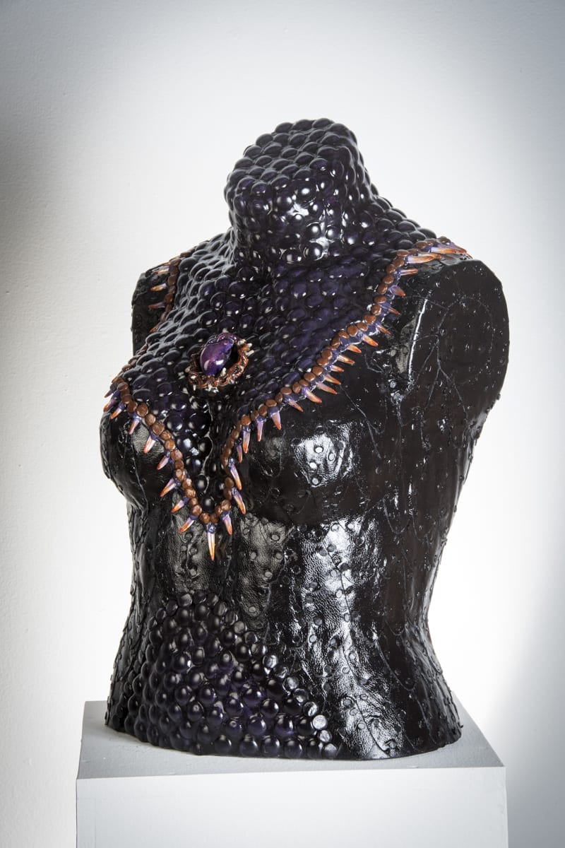 Raven: Protector by Sunni Mercer, Image 1.