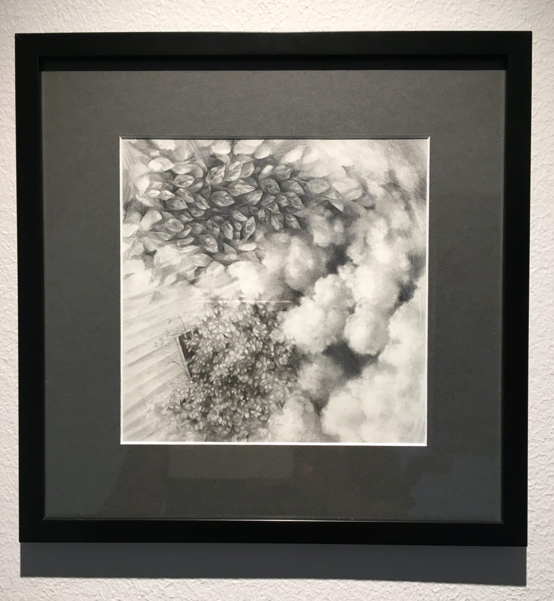 Untitled by Haley Prestifilippo 