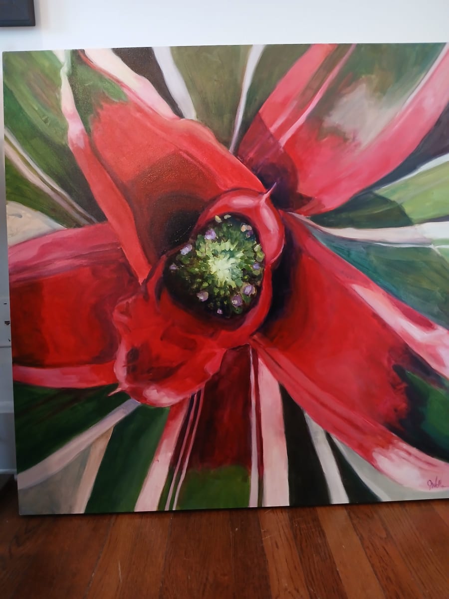 Bromeliad #3 by John Wolfe 