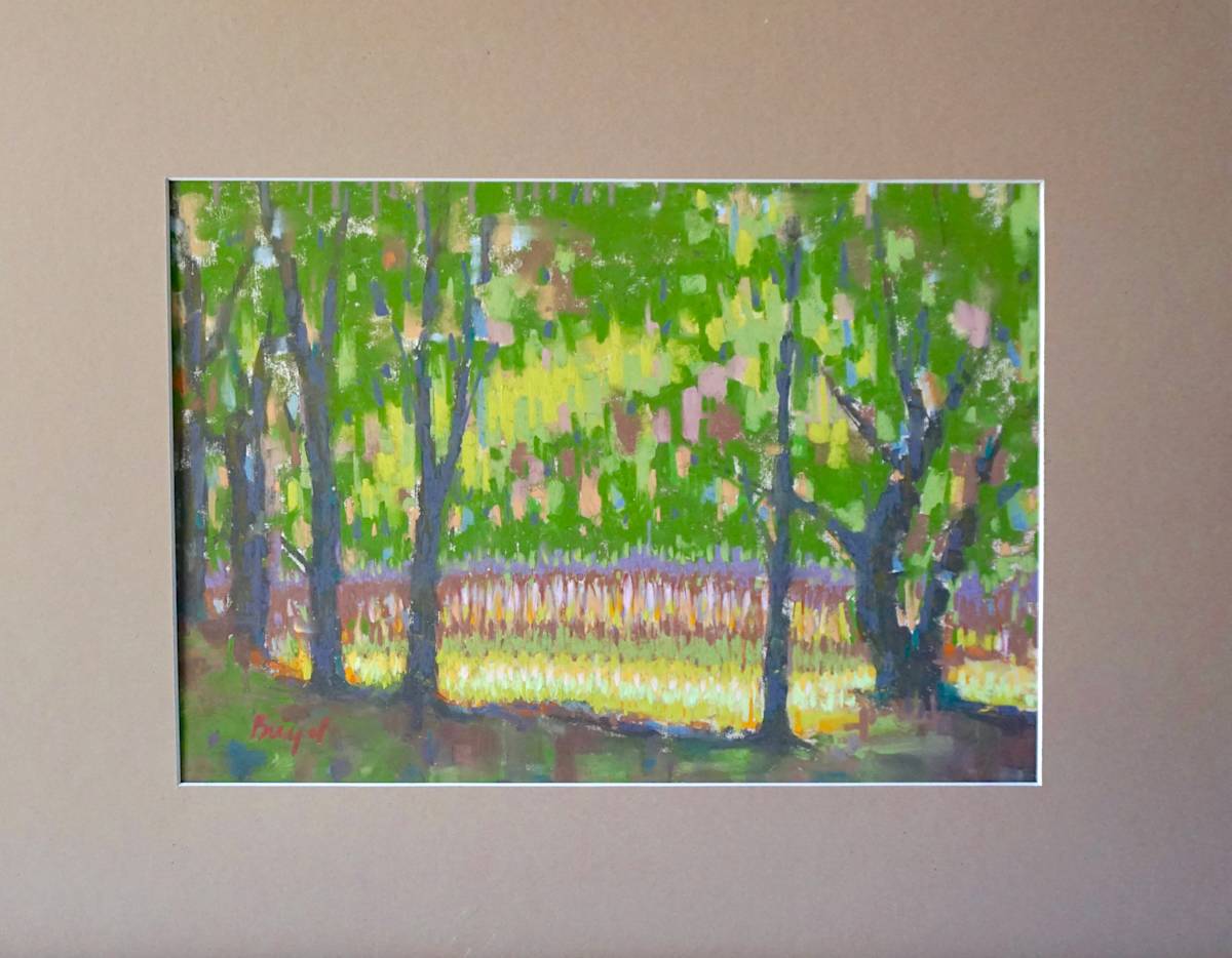 Mitch Park Fall Morning by Chris Brizzard, Image 5.