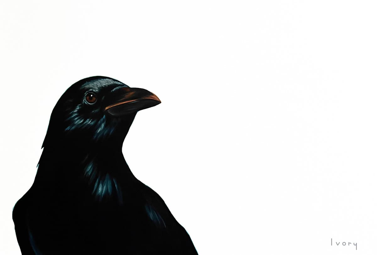 A Raven in Winter by Ivory Keyes 