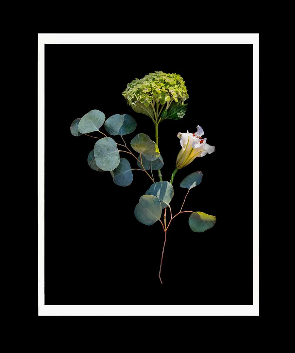 Organic Abstraction #17 by Jon Burris 