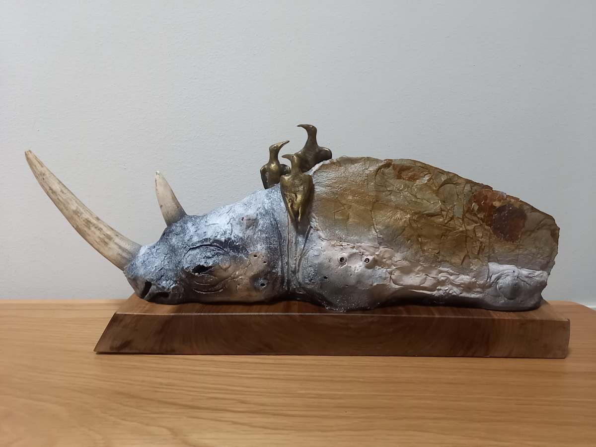 Rhinoceros by Arman Hambardzumyan 