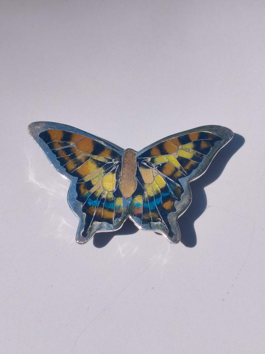 Butterfly by Sheridan Conrad 
