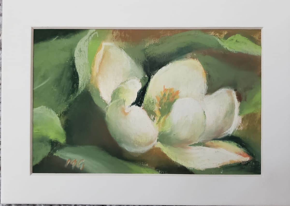 Magnolia by Monika Gupta  Image: Pretty white magnolia flower