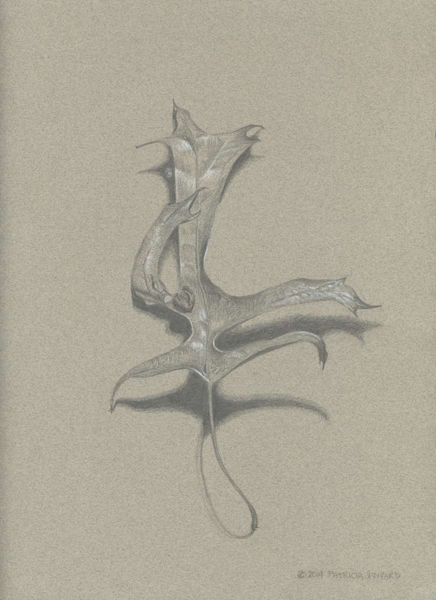 Untitled Leaf Drawing by Patricia Vinyard, Image 1.