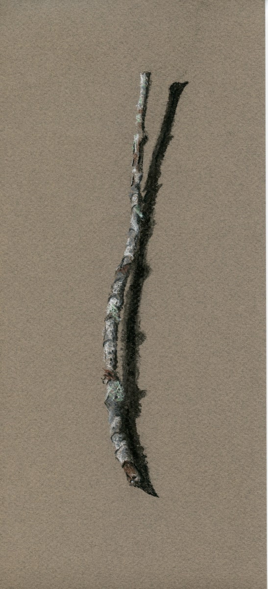 Untitled Stick Drawing by Patricia Vinyard, Image 1.