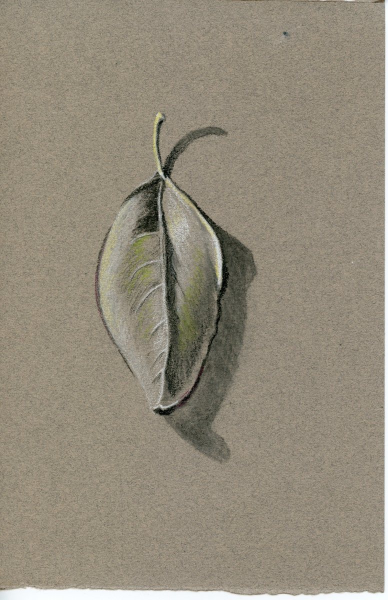 Untitled Leaf Drawing by Patricia Vinyard, Image 1.