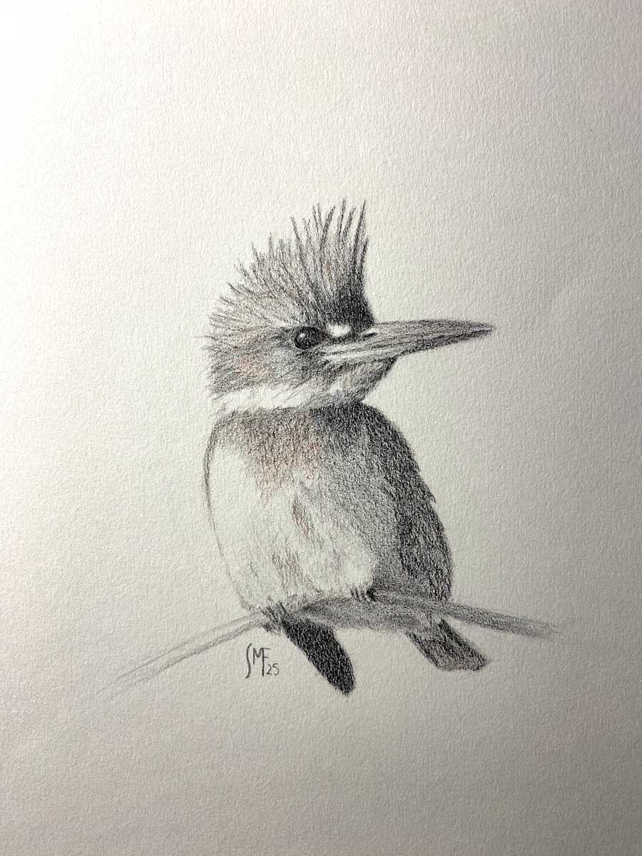 Belted Kingfisher (Workshop Prototype) by Susannah Fisher 
