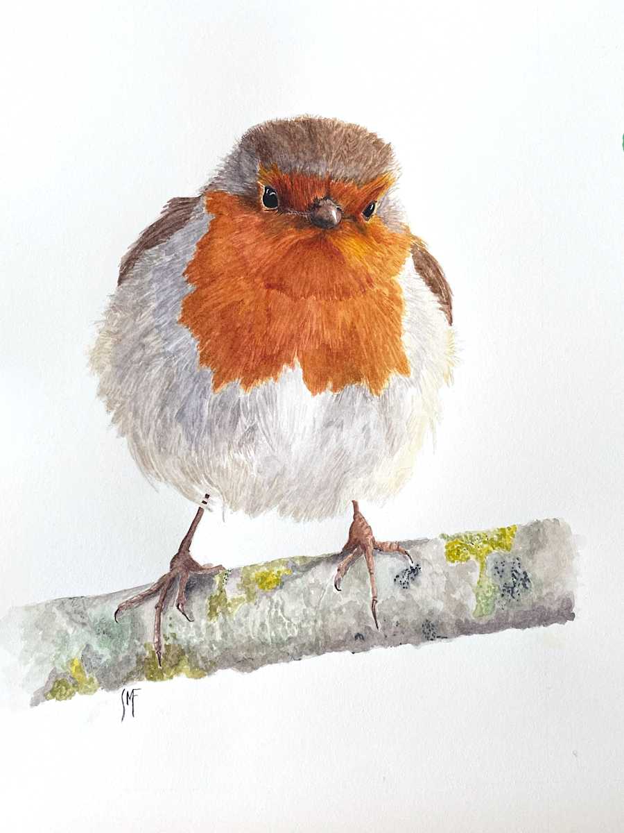 A Saucy Robin by Susannah Fisher  Image: Actual colors may vary. This is due to computer monitors displaying colors differently and everyone can see these colors differently. We try extremely hard to ensure our photos are as life-like as possible, but please understand the actual color may vary slightly from your monitor.