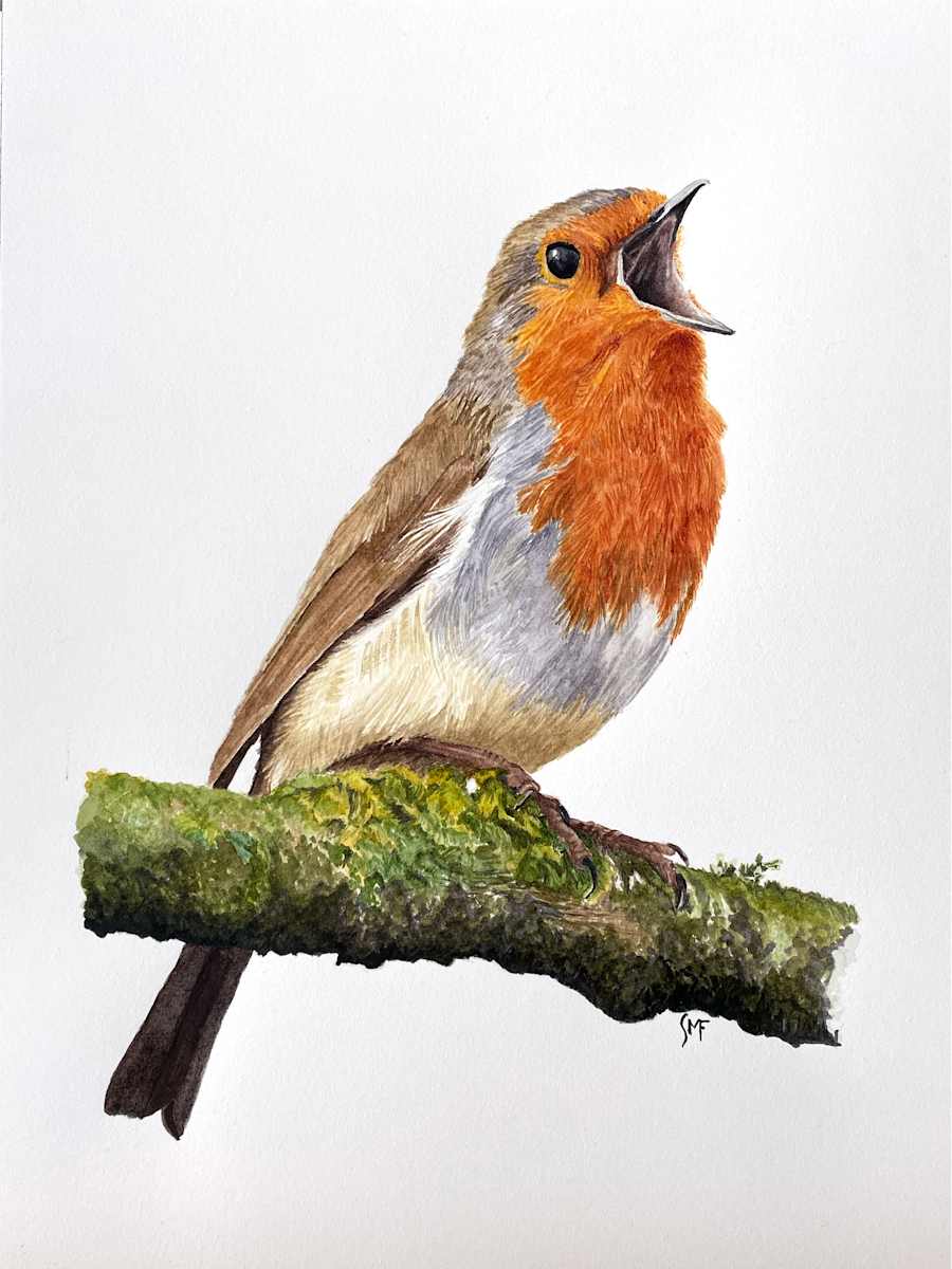 Singing Robin by Susannah Fisher  Image: Actual colors may vary. This is due to computer monitors displaying colors differently and everyone can see these colors differently. We try extremely hard to ensure our photos are as life-like as possible, but please understand the actual color may vary slightly from your monitor.