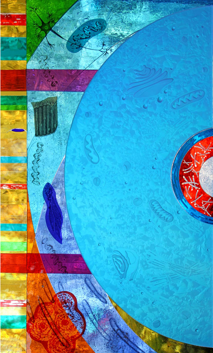 TeloMeMitoWho by Nancy Gong  Image: "TeloMeMitoWho" an art glass panel made of blown sheet, flashed and dichroic glass inspired by mitochondria. The art work has been etched, hand chipped and painted with vitreous enamels. Framed in a powder coat finished stainless frame. Ready to hang.