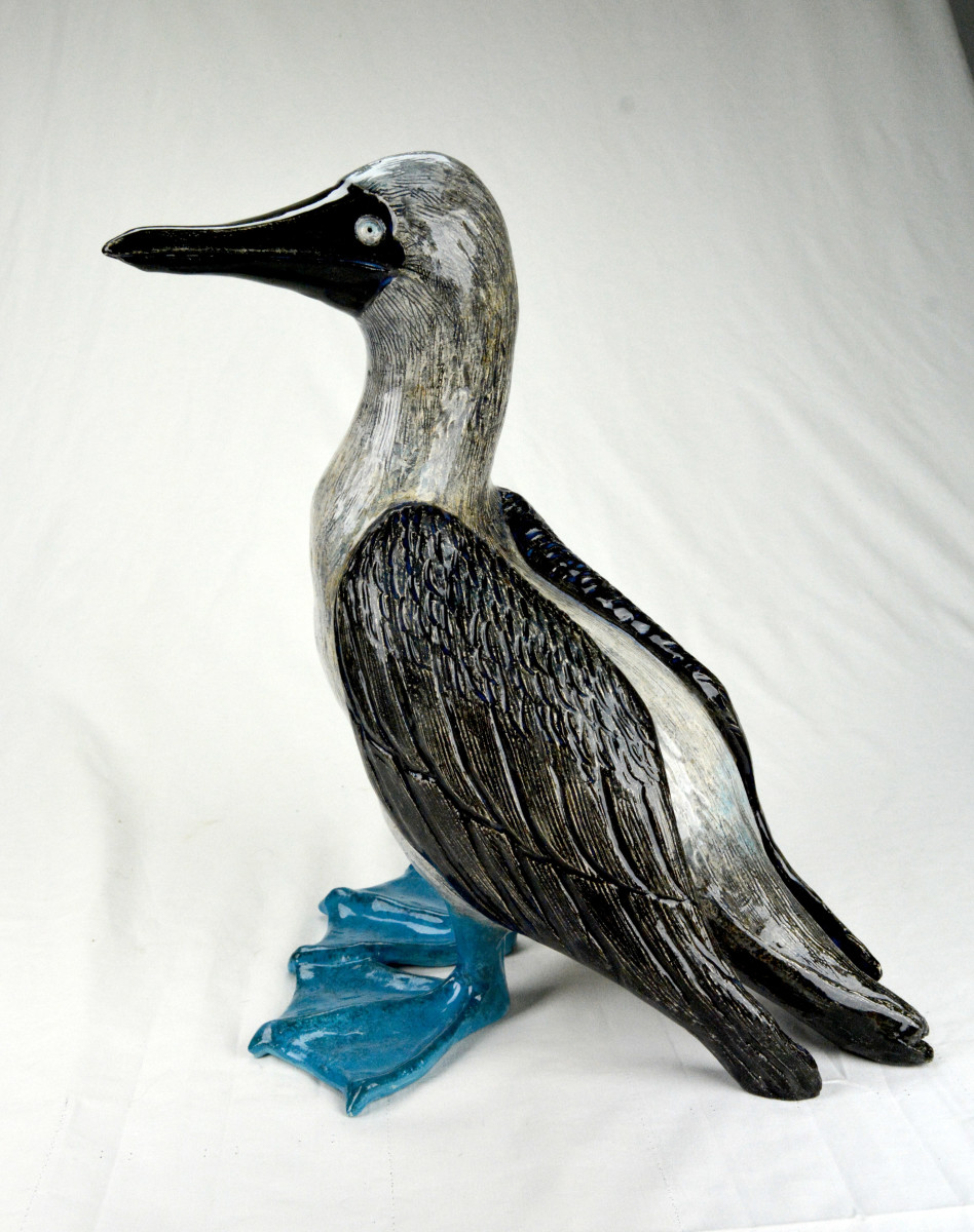 Blue-footed booby small by Vera Smiley 