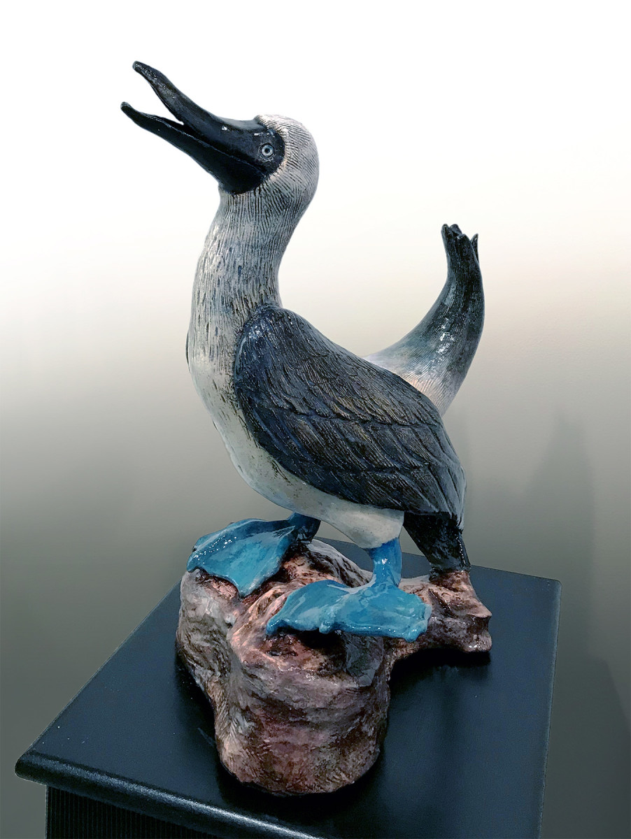 Dancing Blue Footed Booby by Vera Smiley 