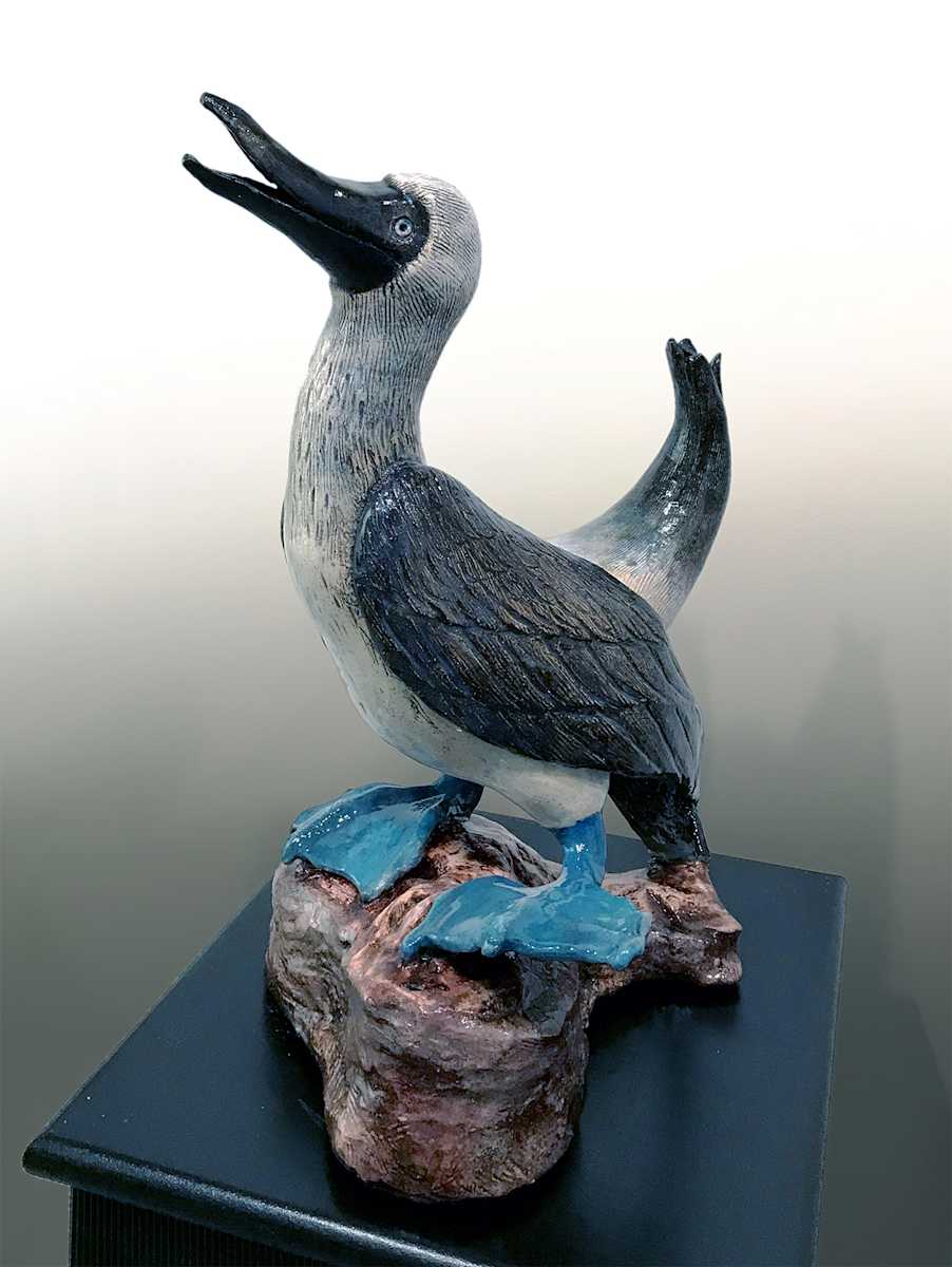 Dancing Blue Footed Booby by Vera Smiley, Image 1.