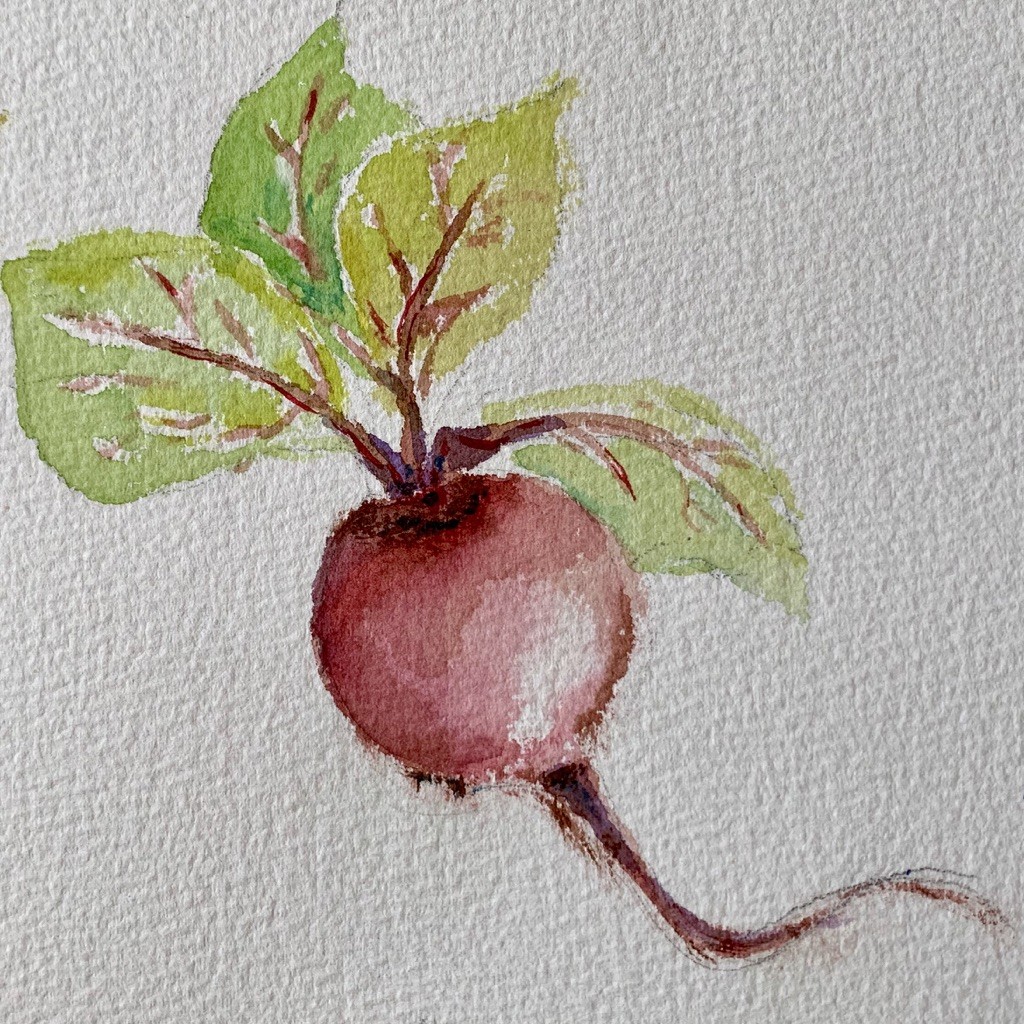 Apple, Pear, Lemon, Radish... 10 small Watercolors by Jennifer Hooley 