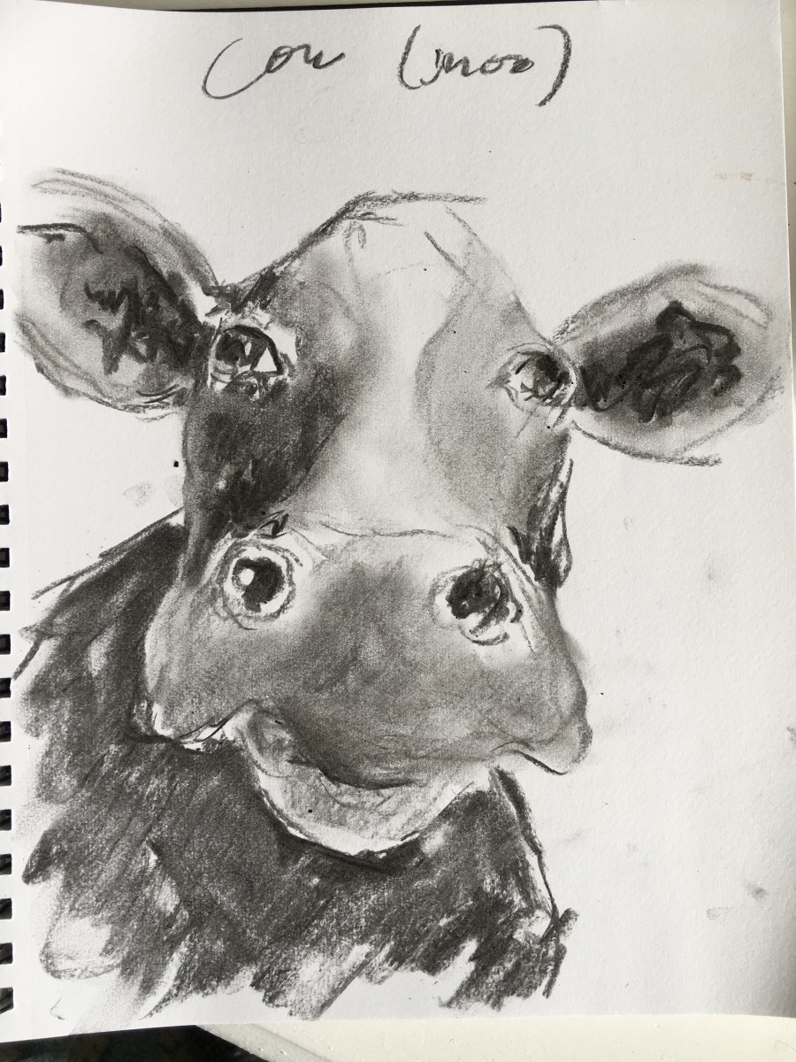 Charcoal Cows (Right) by Jennifer Hooley 