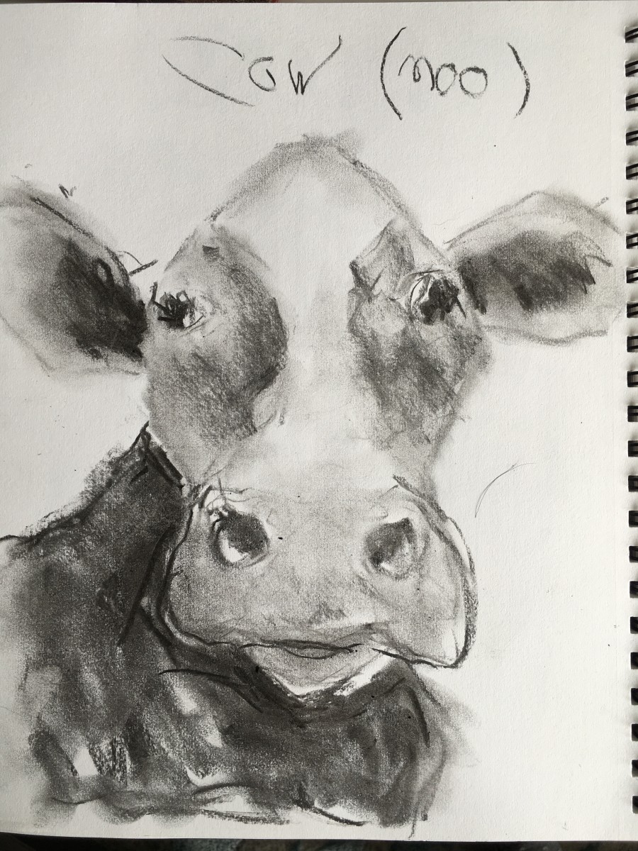 Charcoal Cows (Left) by Jennifer Hooley 