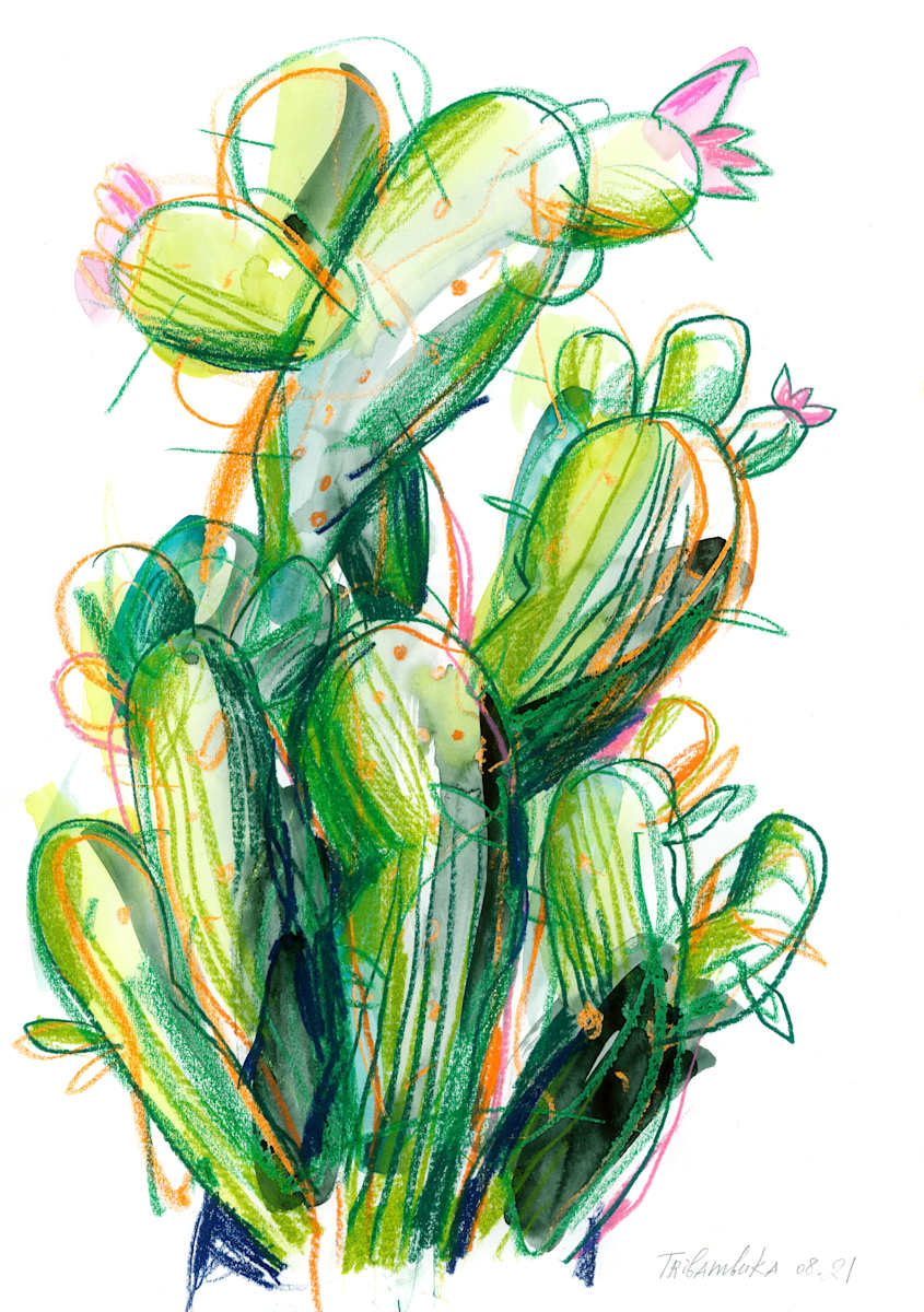 Cacti in Bloom by Tribambuka, Image 2.