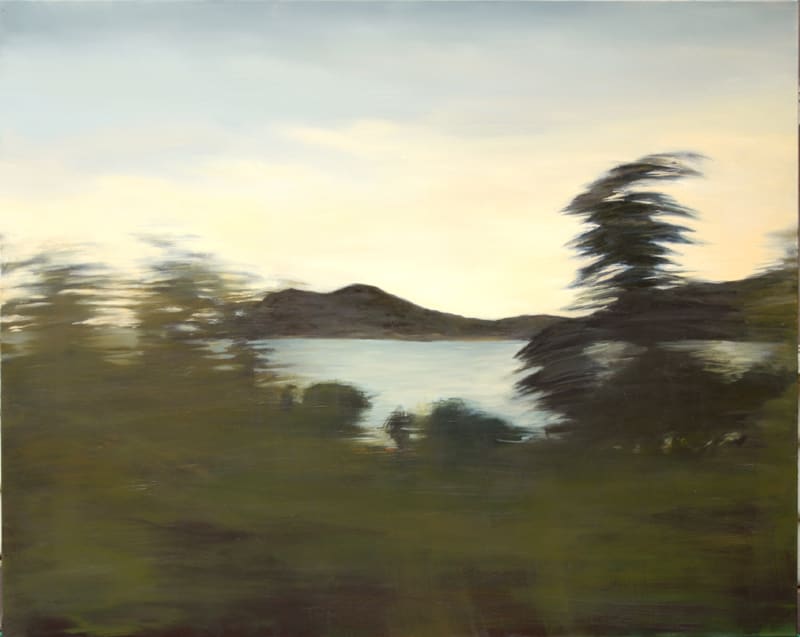 View from a speeding train 16 Barcelona to Nice by Amanda van Gils 