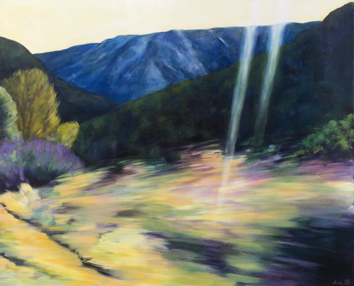 David California by Amanda van Gils 