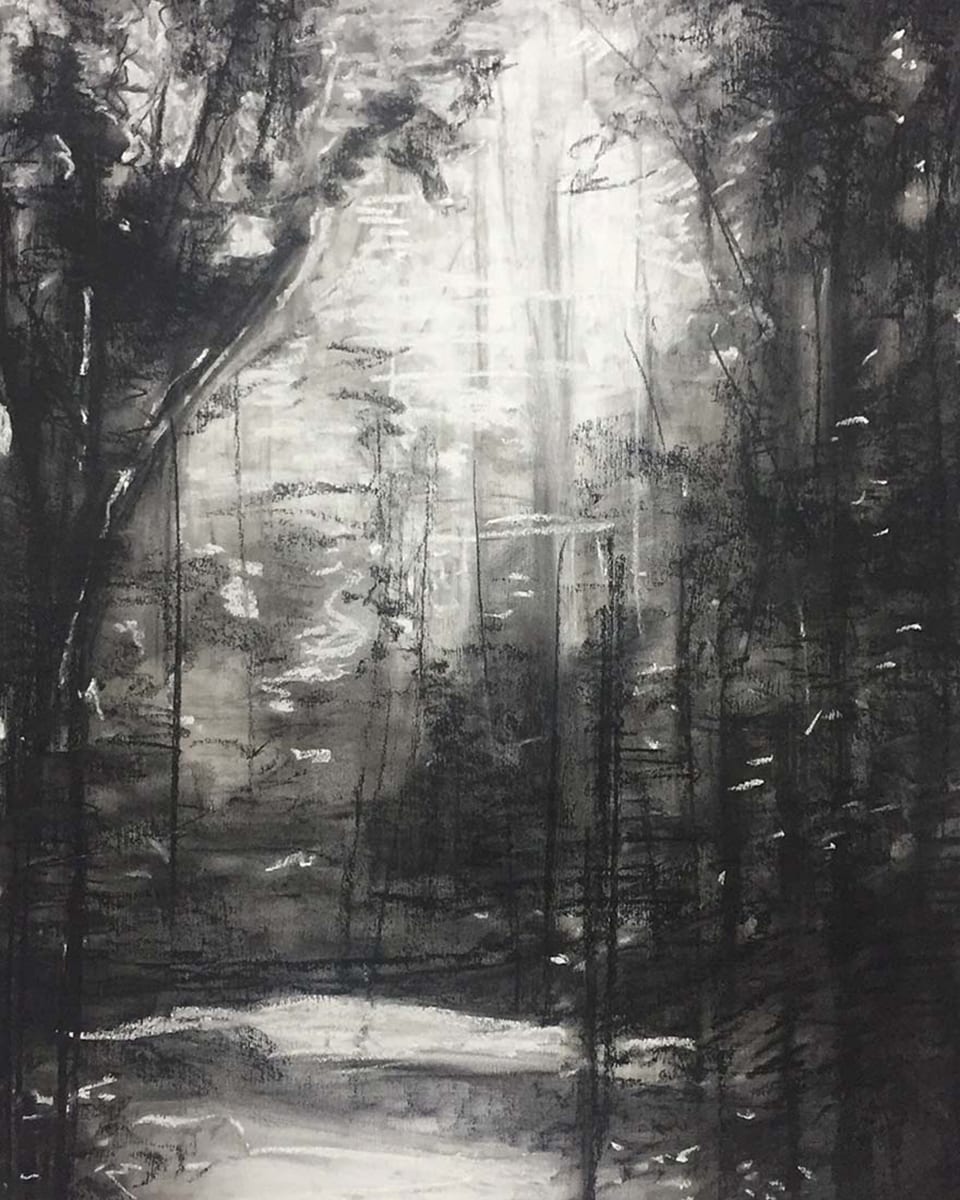 Promises (Trees 1) by Amanda van Gils 
