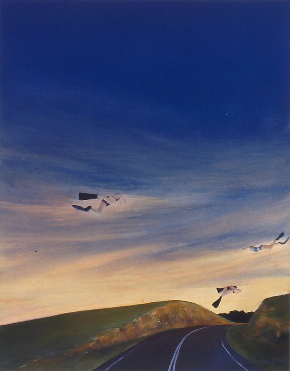 Skylarking by Amanda van Gils 