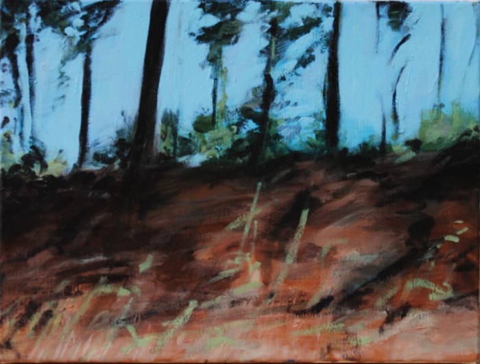 Bruce Hwy 5 by Amanda van Gils 